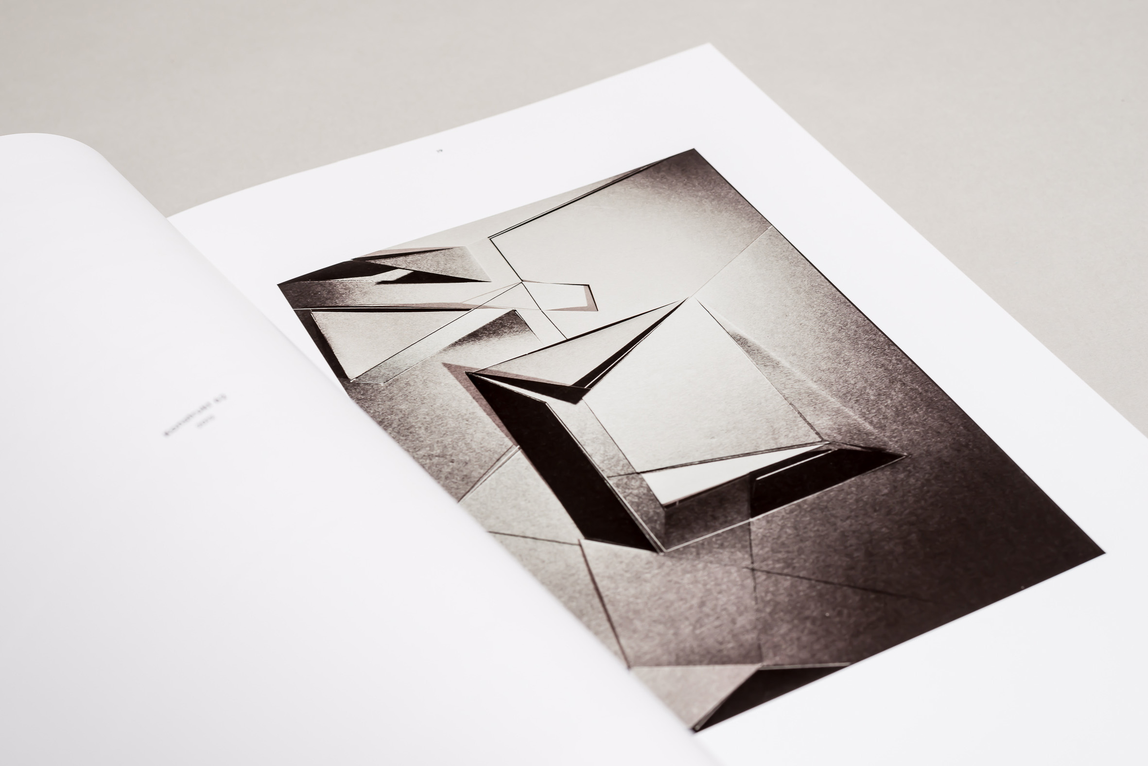 Christiane Feser, Latente Konstrukte / Distanz Verlag