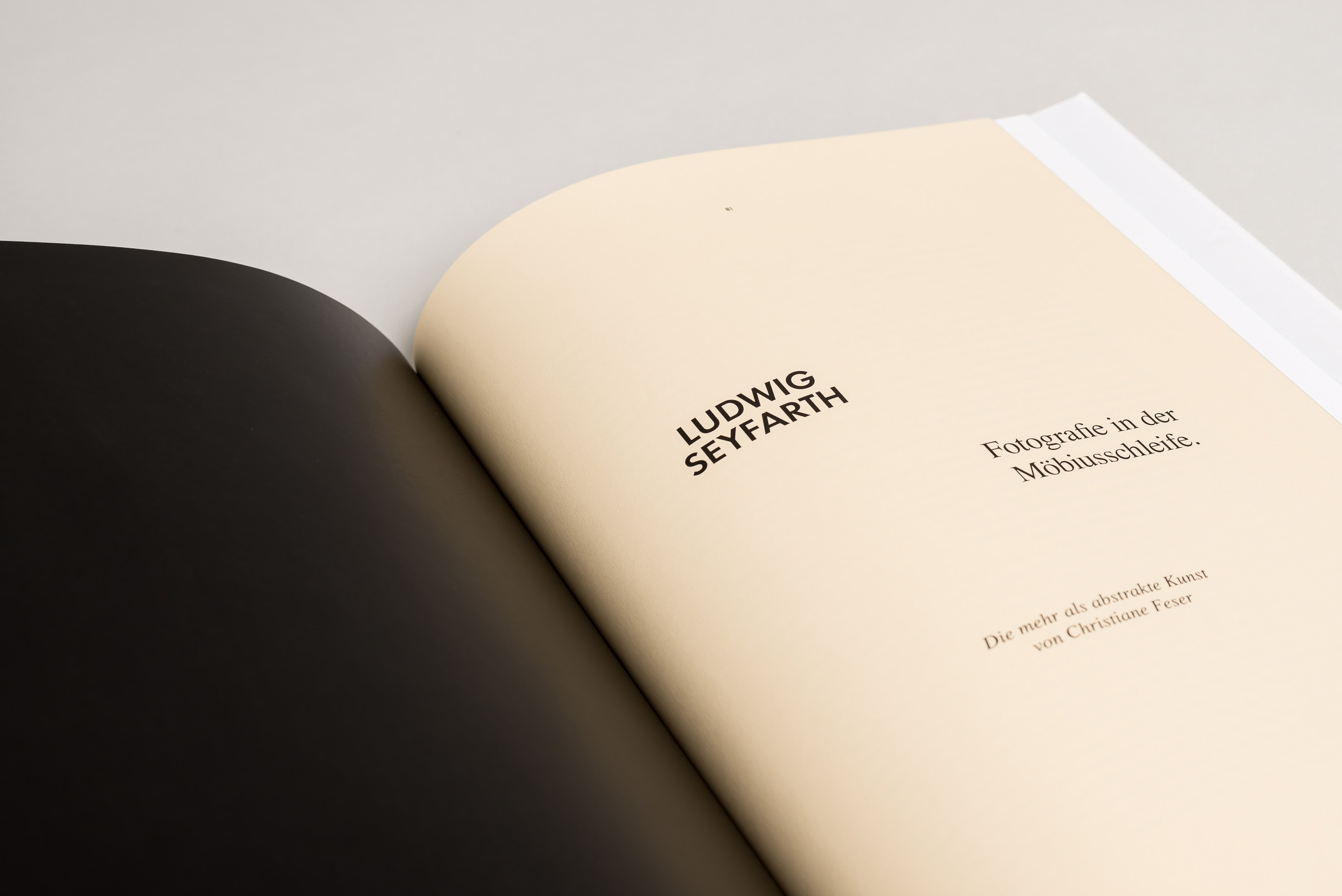 Christiane Feser, Latente Konstrukte / Distanz Verlag