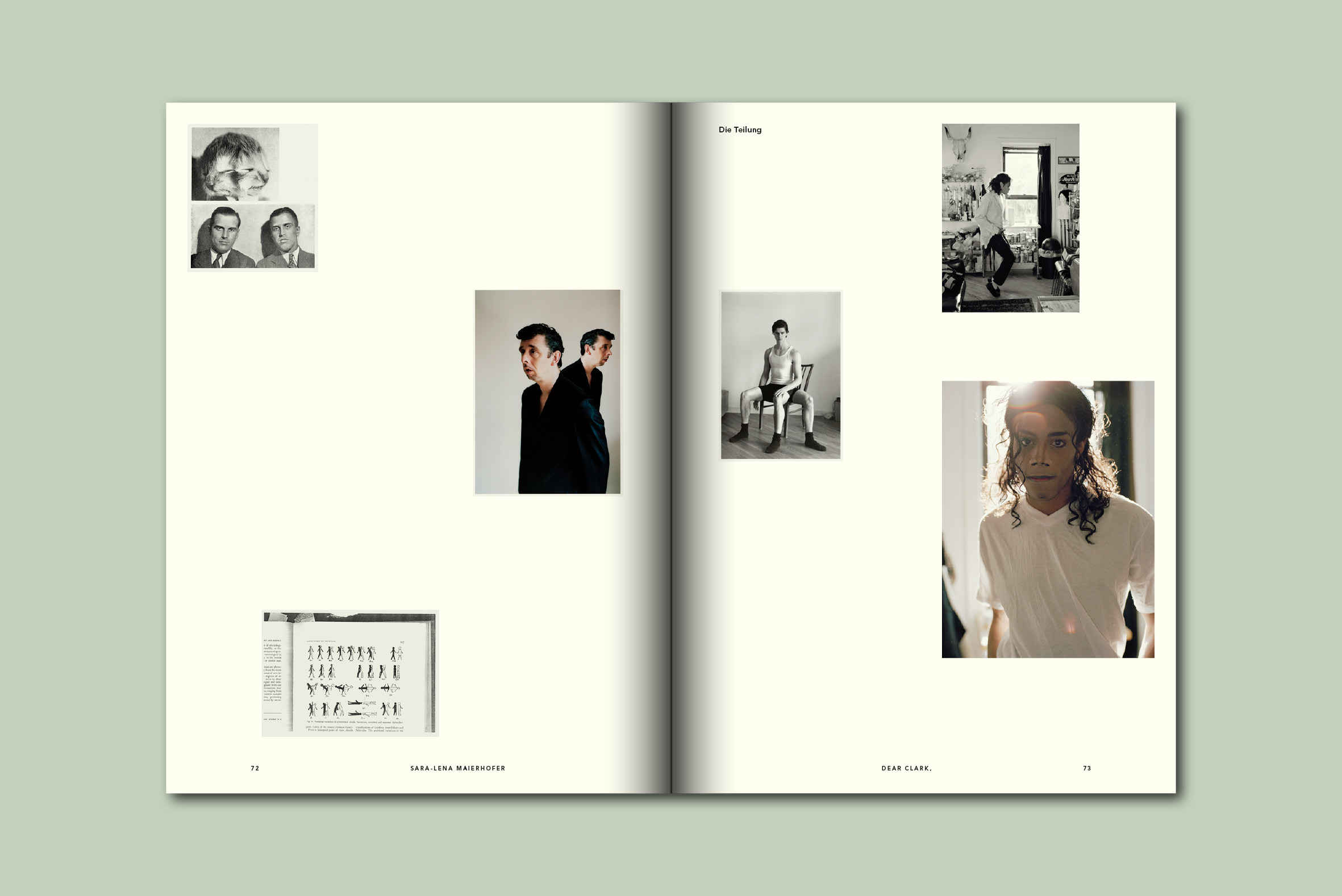 gute aussichten 2011/2012