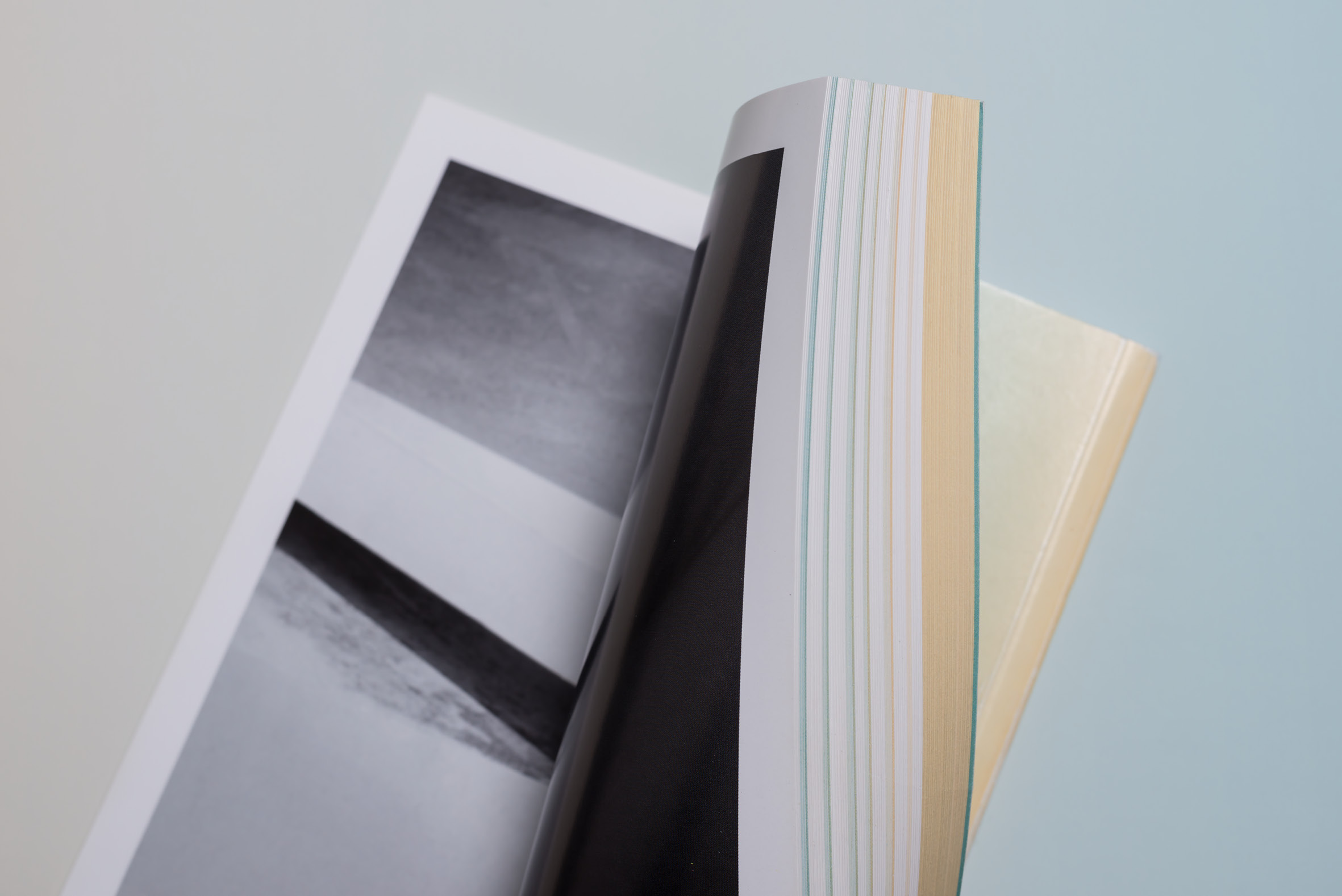 gute aussichten 2012/2013